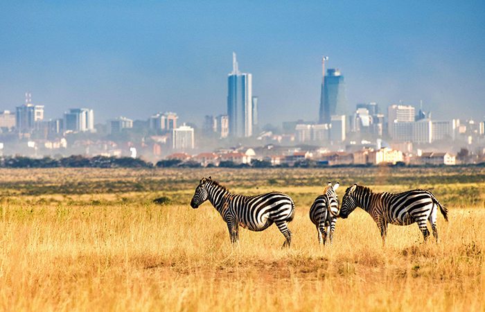 Nairobi National park Family safari with cross wild safaris