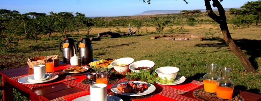 Nairobi National Park picnic spots, family-friendly parks Nairobi Kenya