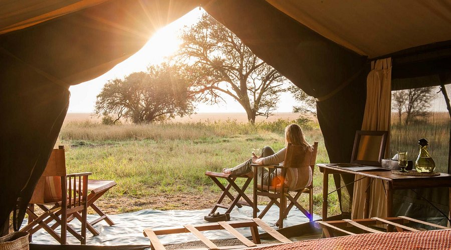 Tented safari camp in Serengeti National Park surrounded by wildlife