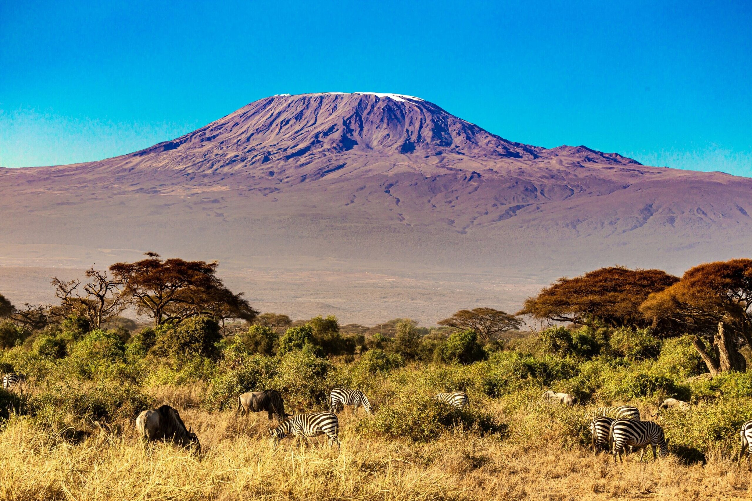 Clear view of Mount Kenya during dry season,