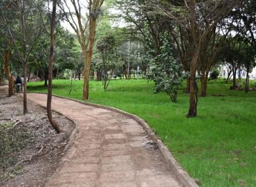 Hikers trail in Karura Forest, Nairobi.”