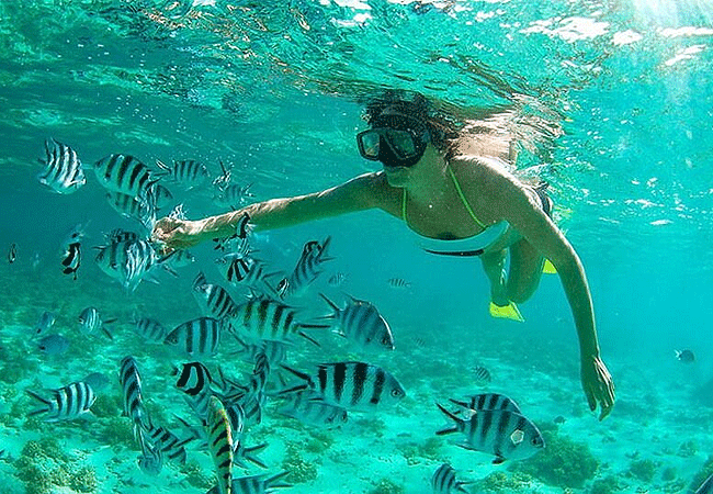 Tourists snorkeling in the clear waters of Watamu Marine National Park