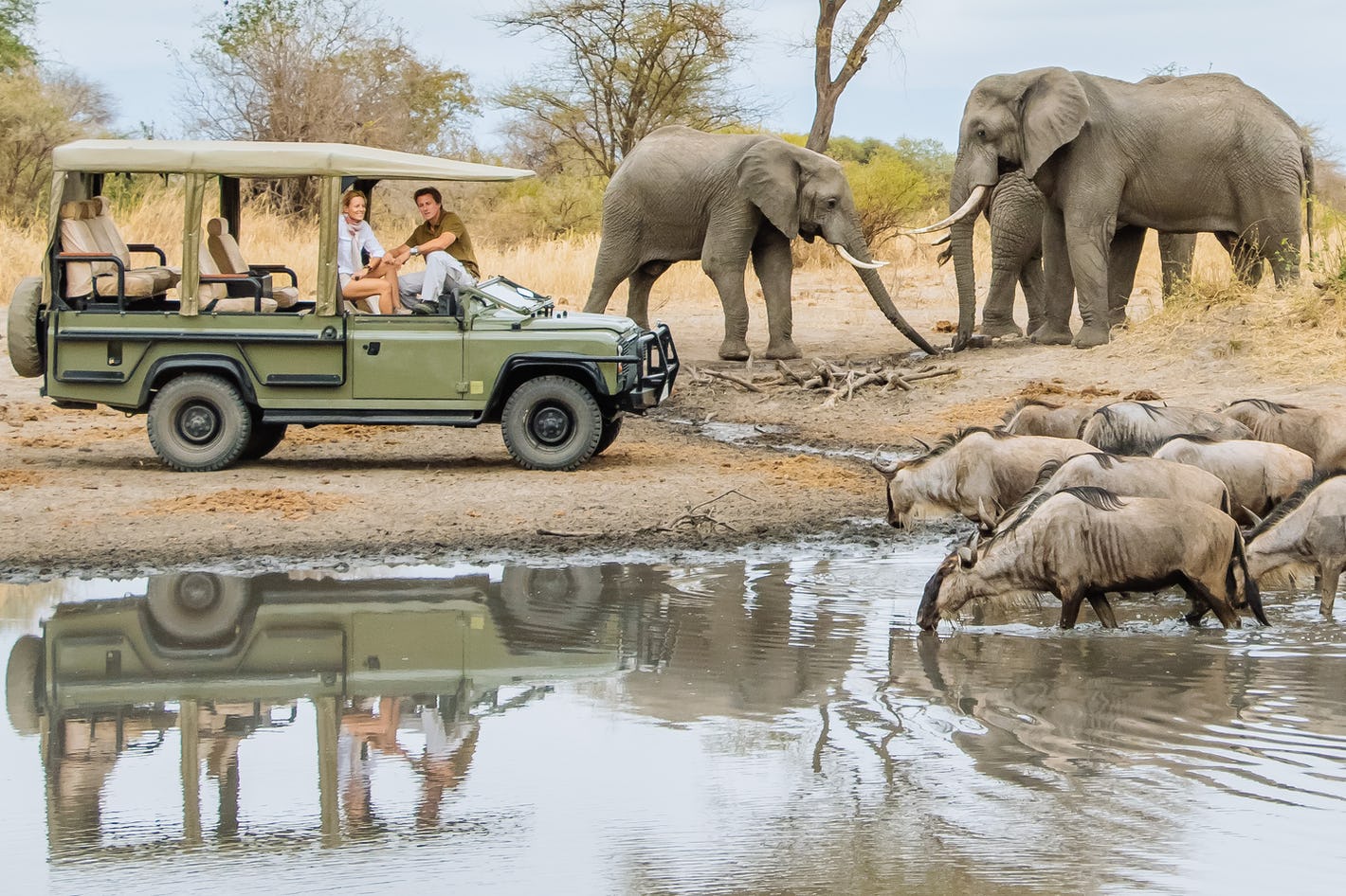 Elephant walking through the forests of Lake Manyara National park