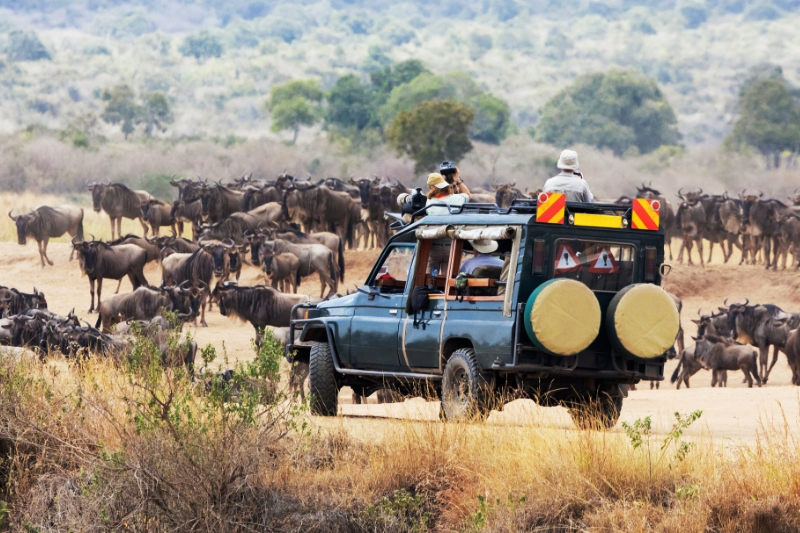tourists enjoying safari in kenyan rainy season