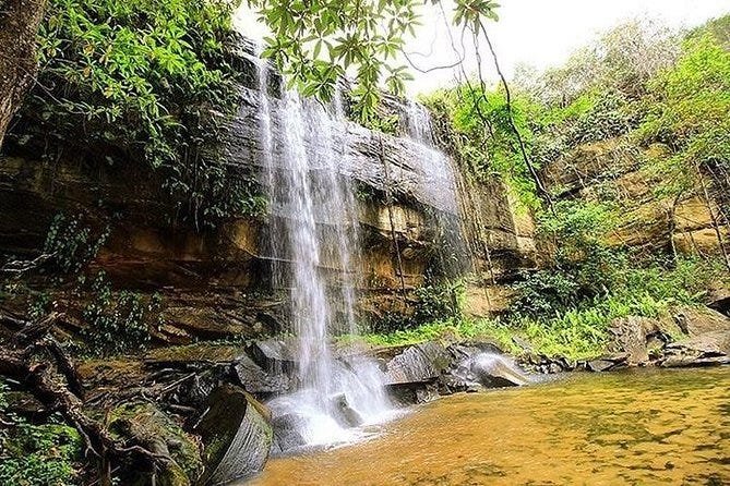 Sheldrick Falls in Shimba Hills National Reserve surrounded by lush greenery.