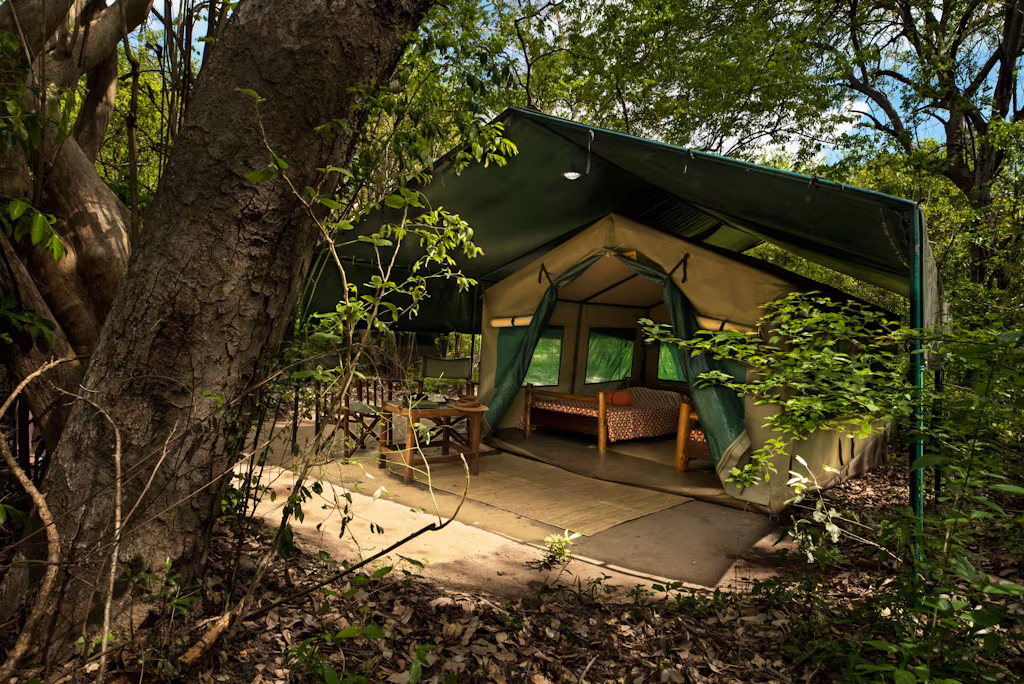 Tourists setting up tents for camping along Turkwel River in Nasolot National Reserve