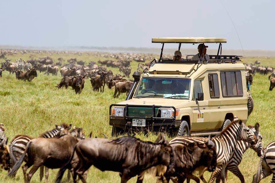 Safari jeep viewing wildlife in Lake Manyara National Park
