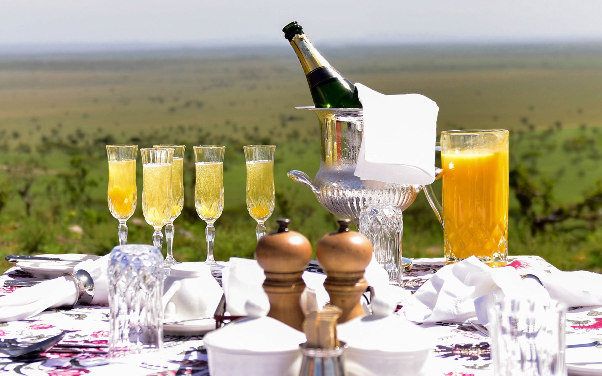 East Africa safaris WITH CROSS WILD SAFARIS AT Serengeti NATIONAL RESERVE in Serengeti Serena bush break fast