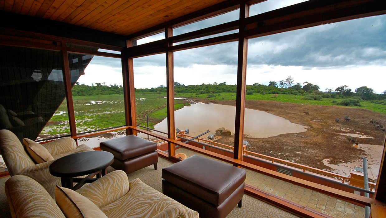 KENYA SAFARI WITH CROSS WILD SAFARIS AT Aberdare National Park IN KENYA