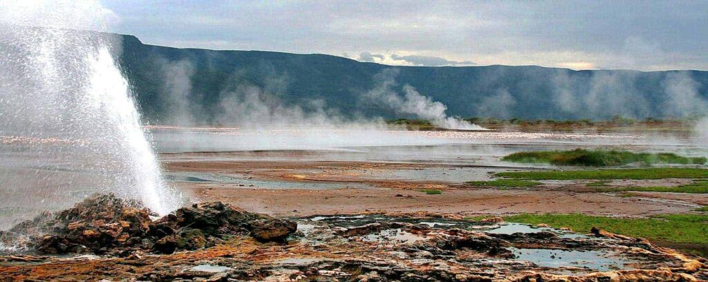 lake bogoria national reserve cross wild safaris