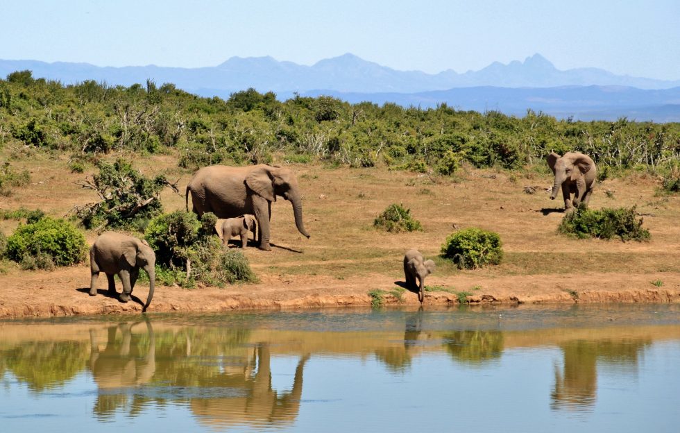 Aerial view of Malka Mari National Park