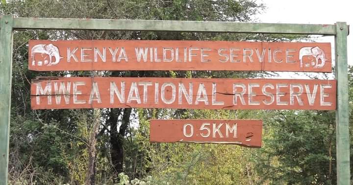 mwea national reserve with cross wild safaris