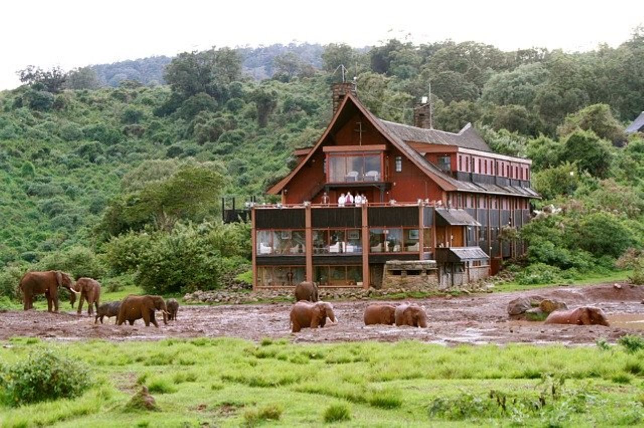 Ark lodge in Aberdare national park