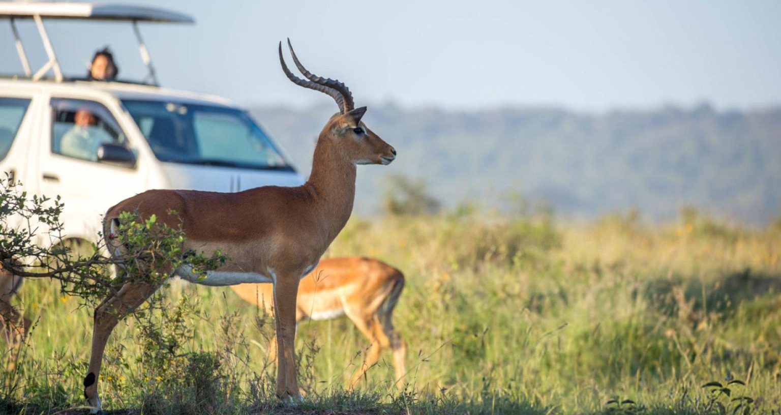 Visitors photographing wildlife along the Nairobi Safari Walk boardwalk