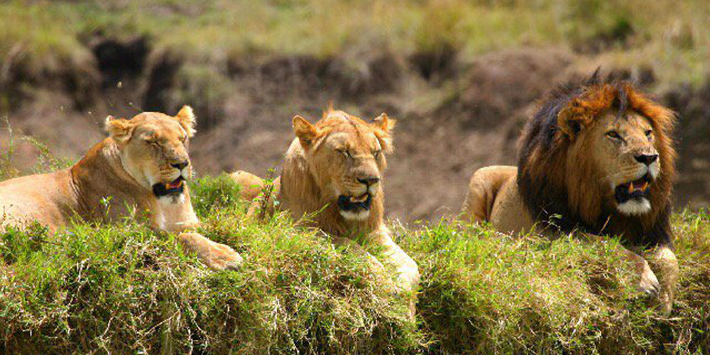 Malka Mari National Park by cross wild safaris