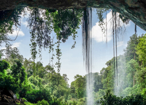 climbing Mt Elgon with cross wild safaris in Kenya views