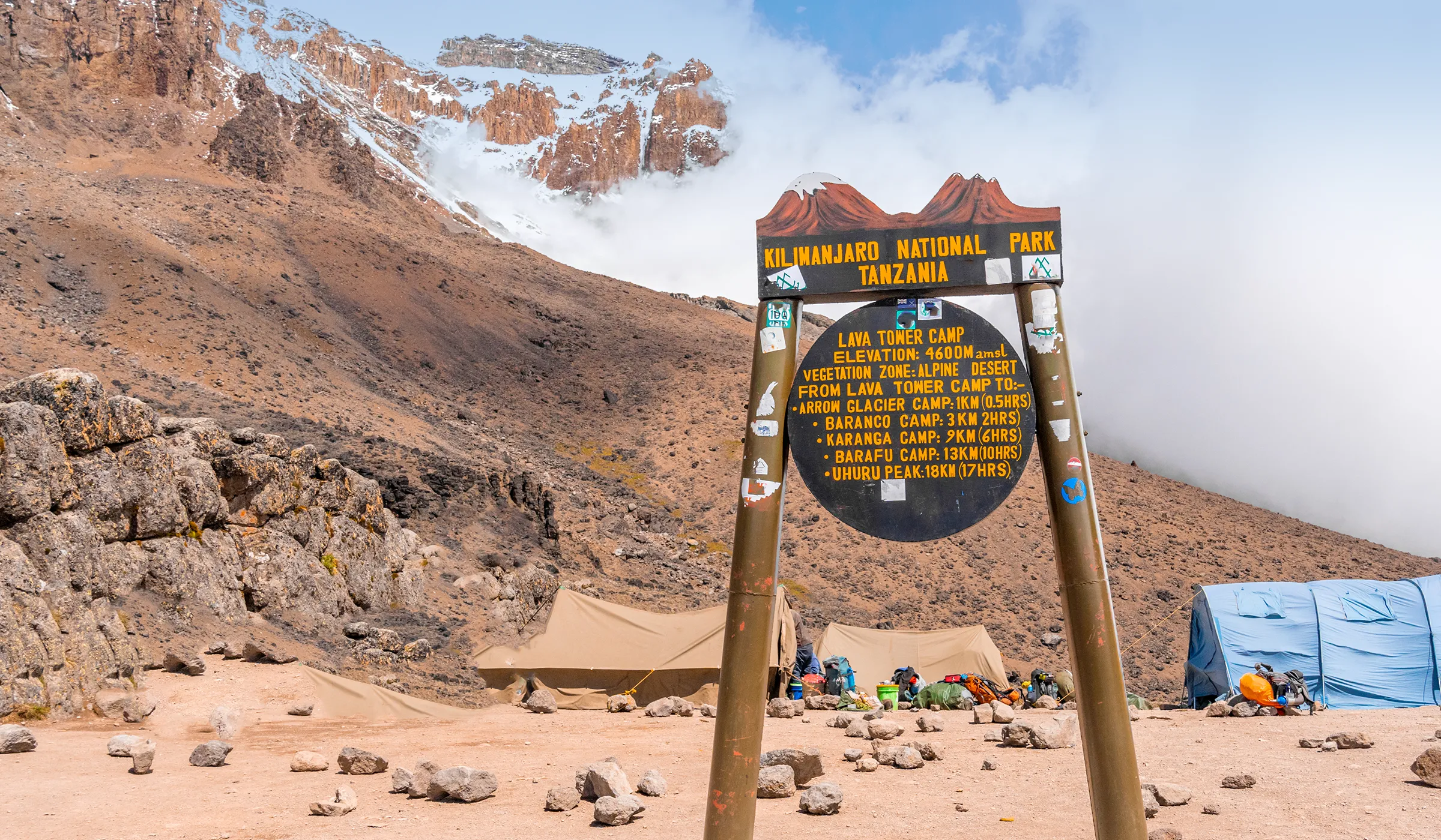climbing mt Kilimanjaro with cross wild safaris at Tanzania Lava Tower