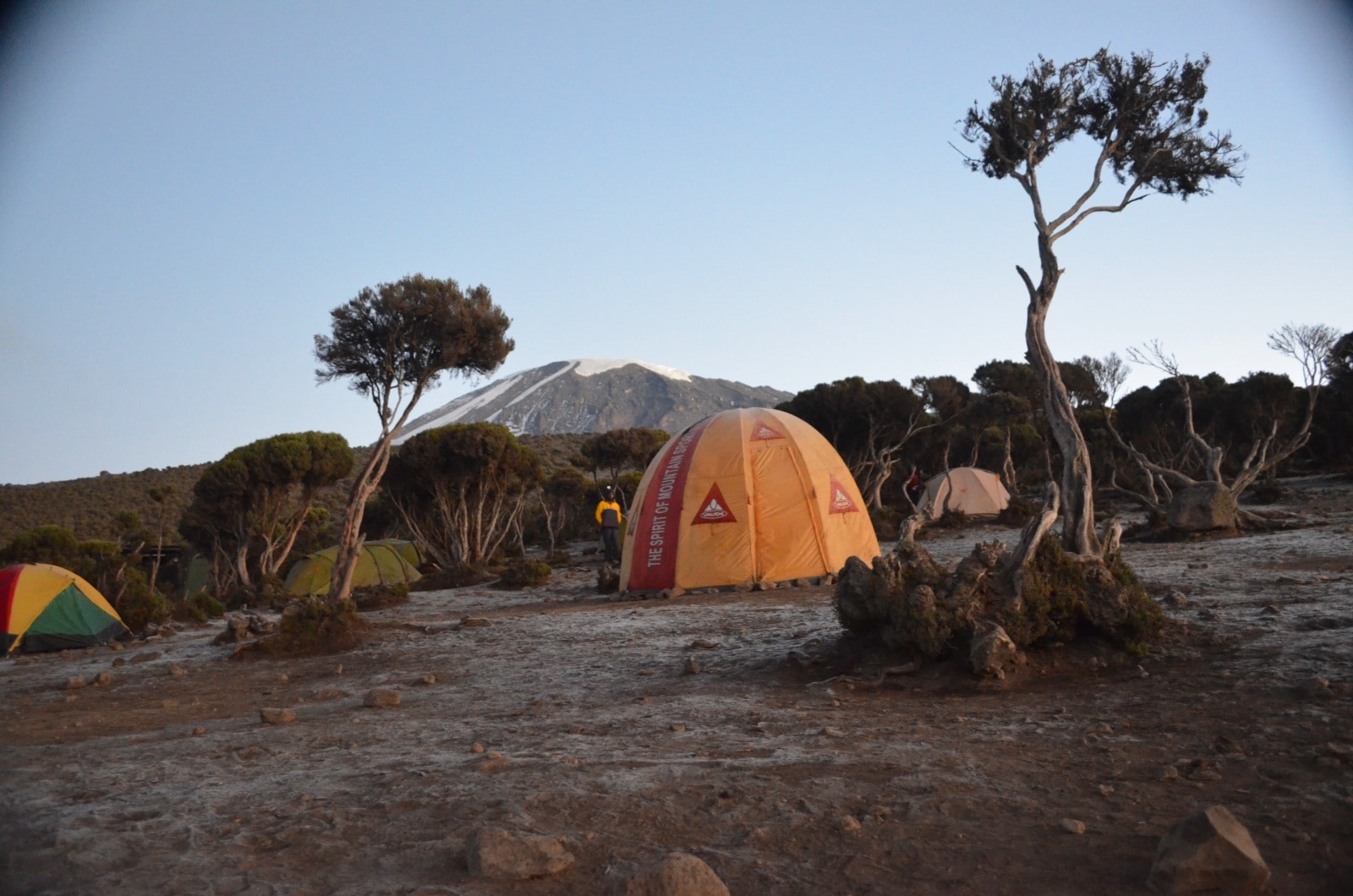 climbing mt Kilimanjaro with cross wild safaris at Tanzania Mweka Camp