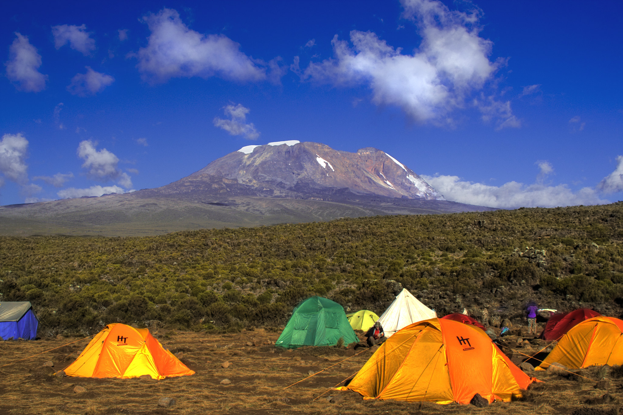 climbing mt Kilimanjaro with cross wild safaris at Tanzania shira camp