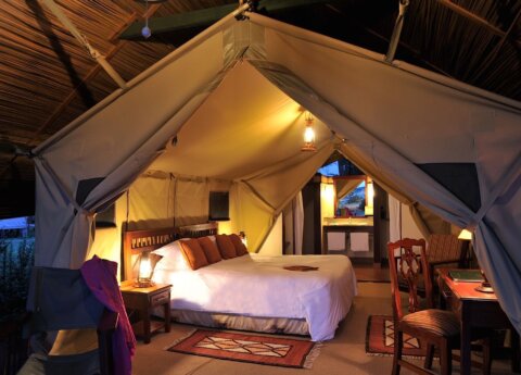 flying safari with cross wild safaris at Sweetwaters Serena Camp at ol Pejeta in Kenya