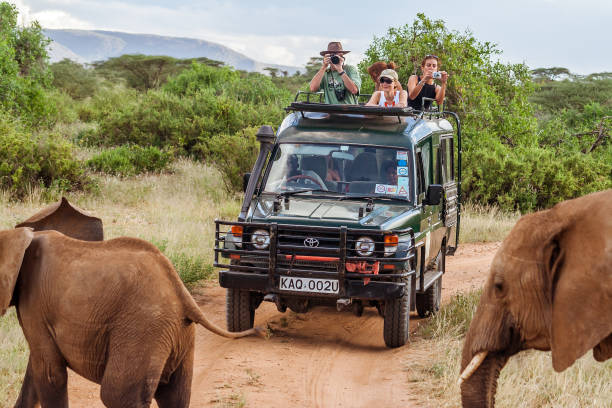 Safari jeep with tourists viewing elephants on a game drive in Mara North Conservancy