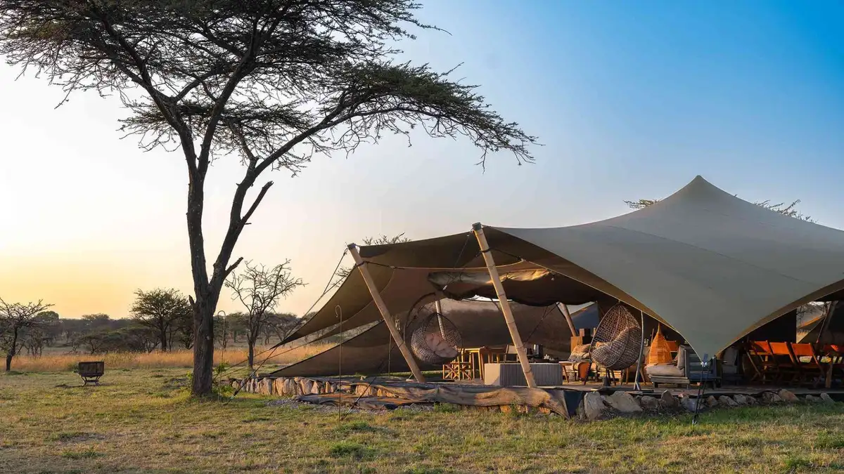 hotels, lodge or camps with cross wild safaris
