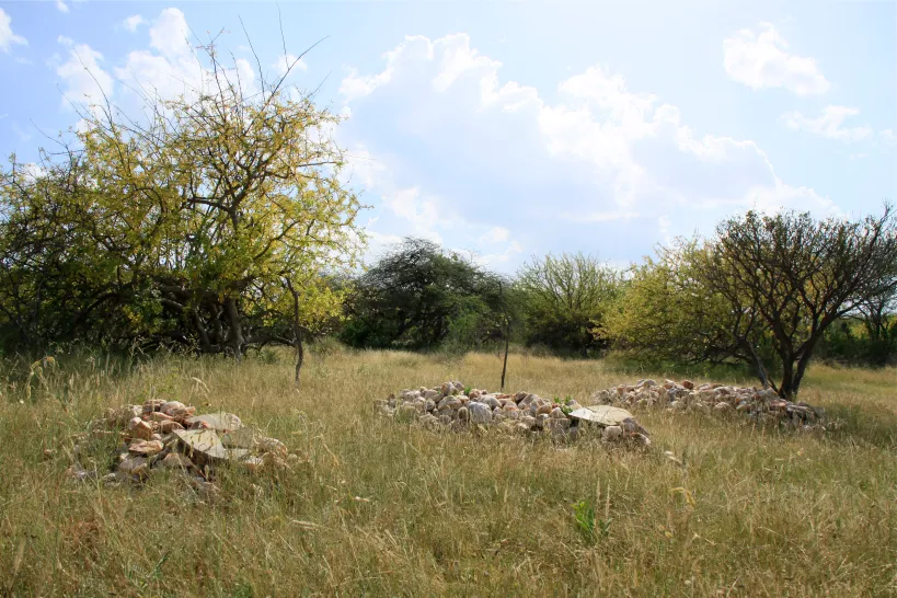 kampi ya simba cross wild safaris