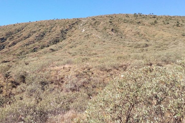 treks Mt Kilimambogo in Oldonyo Sabuk with cross wild safaris in Kenya