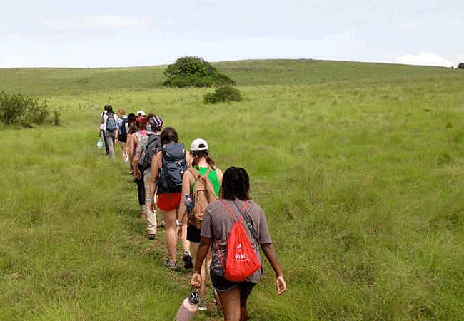 Tourists observing wildlife during a guided nature walk on Ndere Island national park