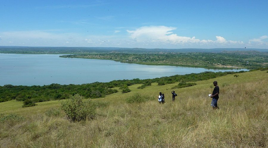 Ndere island national park with cross wild safaris