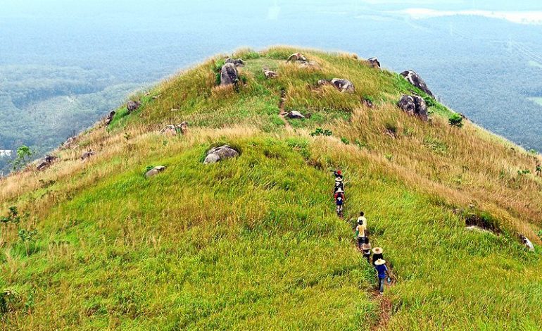 Hikers trekking Ngong Hills trail with green rolling hills