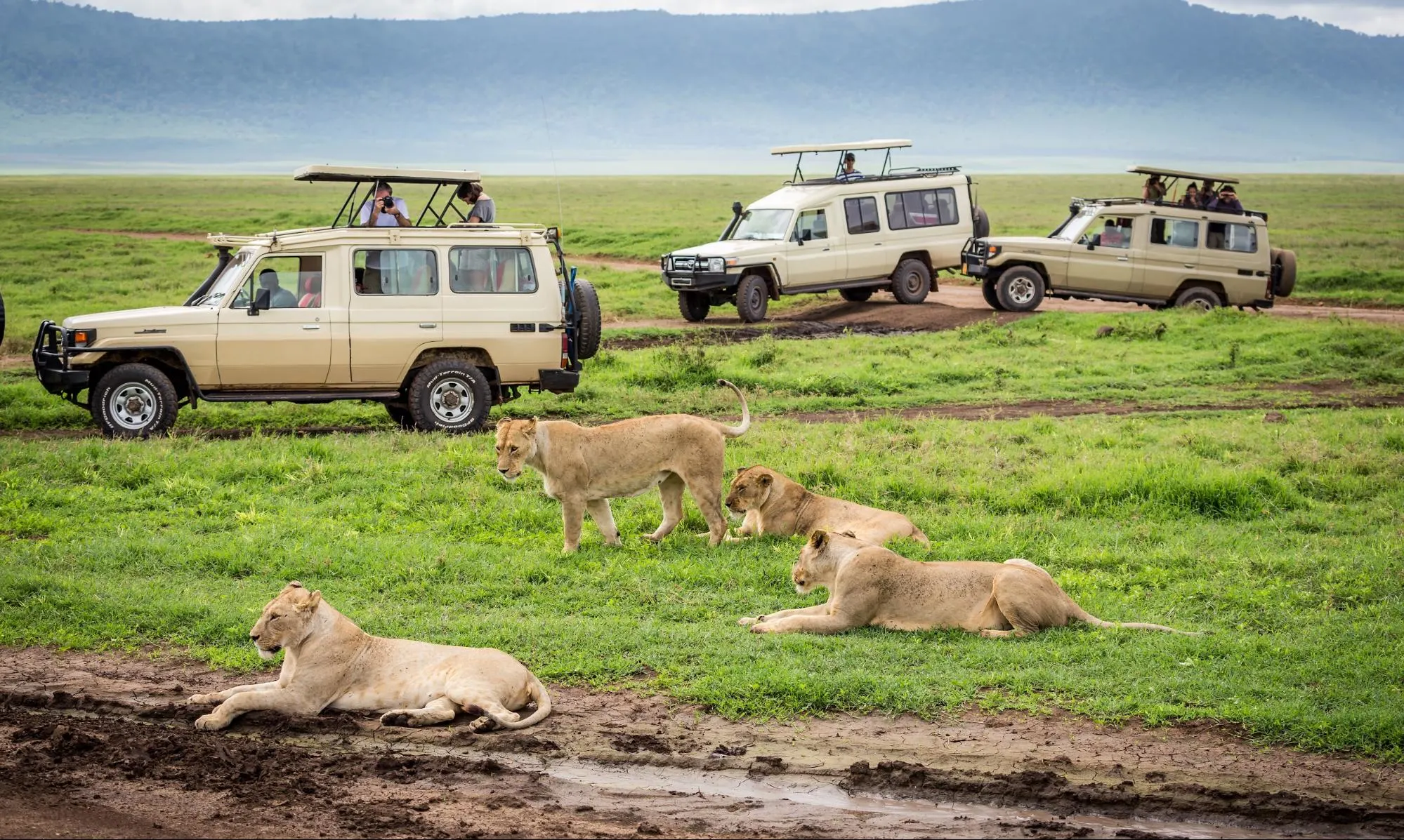 4x4 safari vehicle crossing dry plains toward Malka Mari Fort