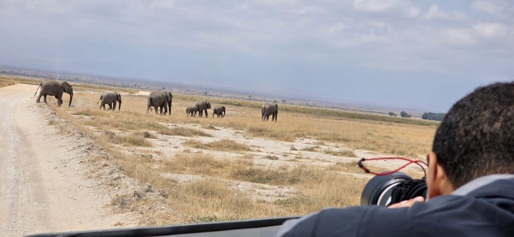 photography safaris with cross wild safaris magical safari