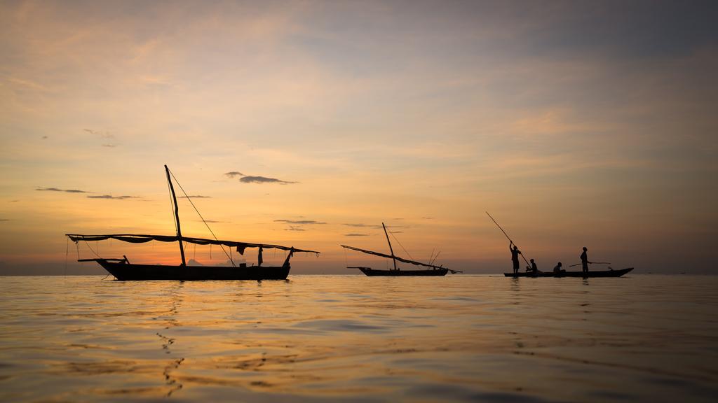traditional dhow boat watching the sunset near Malindi Marine National Park, Kenya.”