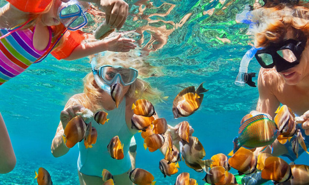 Family snorkeling together above a coral reef in Malindi Marine National Park, Kenya