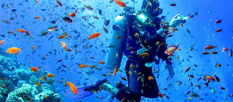 discover fun family activities to do at Malindi Marine national park with cross wild safaris