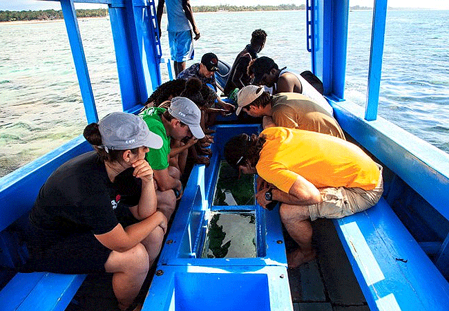 glass-bottom boat observing tropical fish in Malindi Marine National Park.
