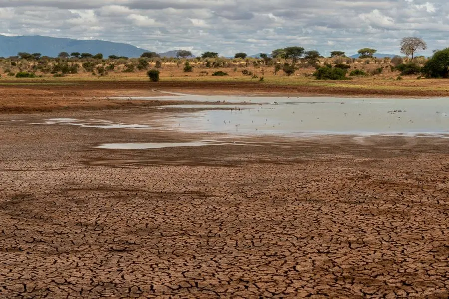 Northern Kenya’s Harsh Environment