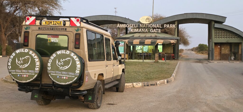 game drives in Amboseli National park