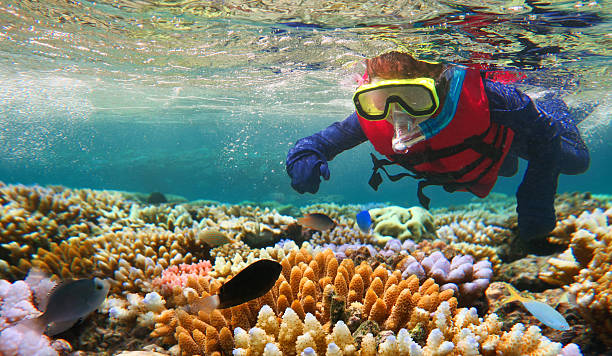 Snorkeler swimming near coral reefs in Watamu Marine National Park, Kenya