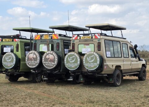CROSS WILD SAFARIS FLEET OF LAND CRUISERS