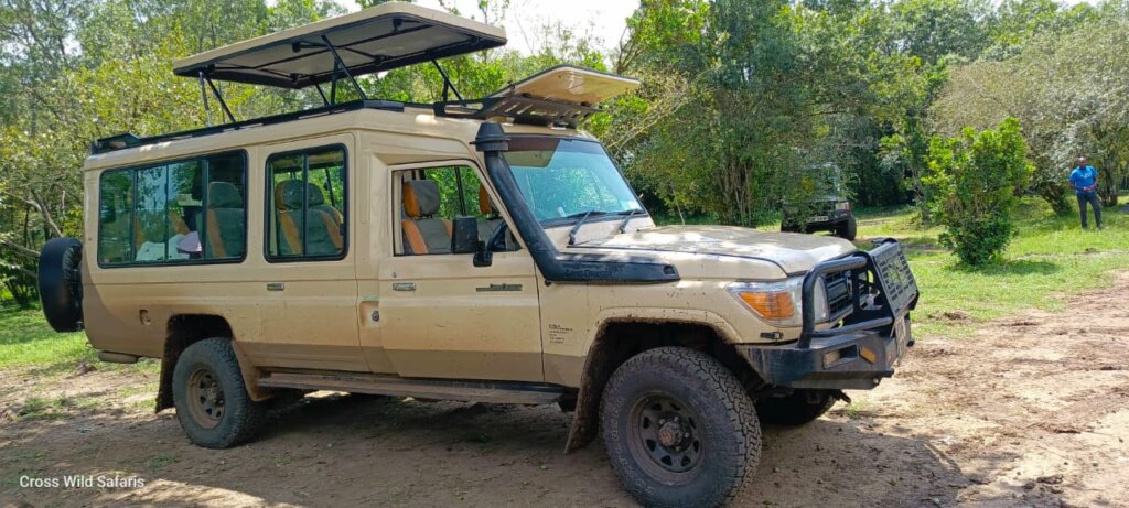 4X4 SAFARI LANDCRUISER CROSS WILD SAFARIS