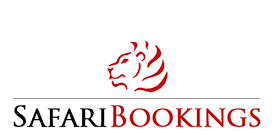 safari booking
