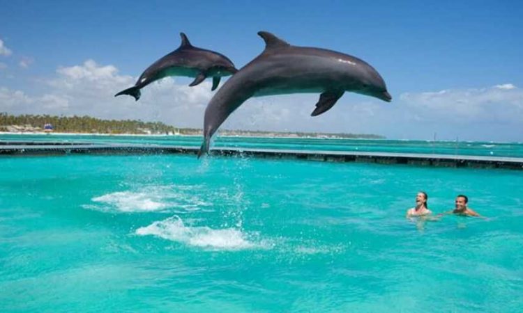 3 days Zanzibar Island SAFARI WITH CROSS WILD SAFARIS