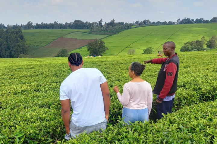 Coffee tour in Nairobi city tour