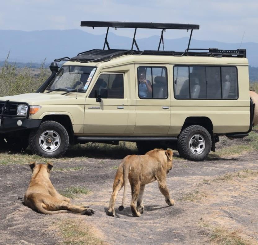 Game drives in Nairobi National Park