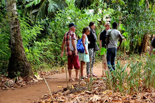 Tourists exploring a clove plantation in Zanzibar