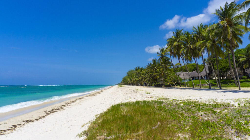 Tiwi Beach, Mombasa beaches with palm trees and calm turquoise waters