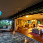 luxury safari at masai mara with cross wild safaris