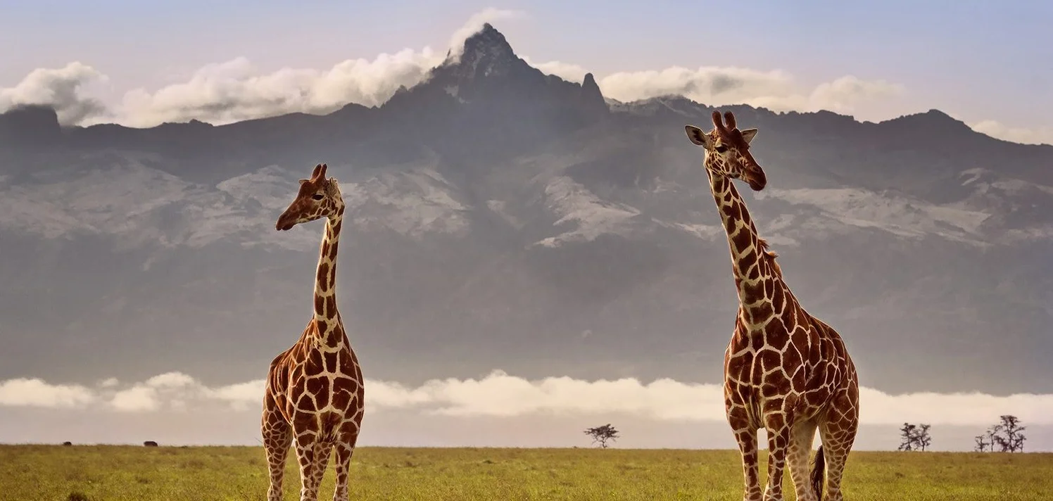 mount Kenya safari with cross wild safaris